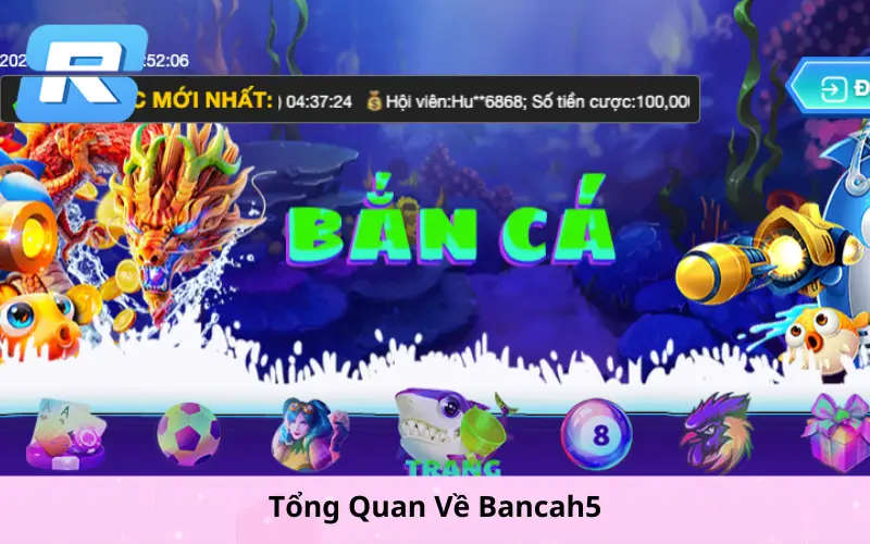 Tổng Quan Về Bancah5